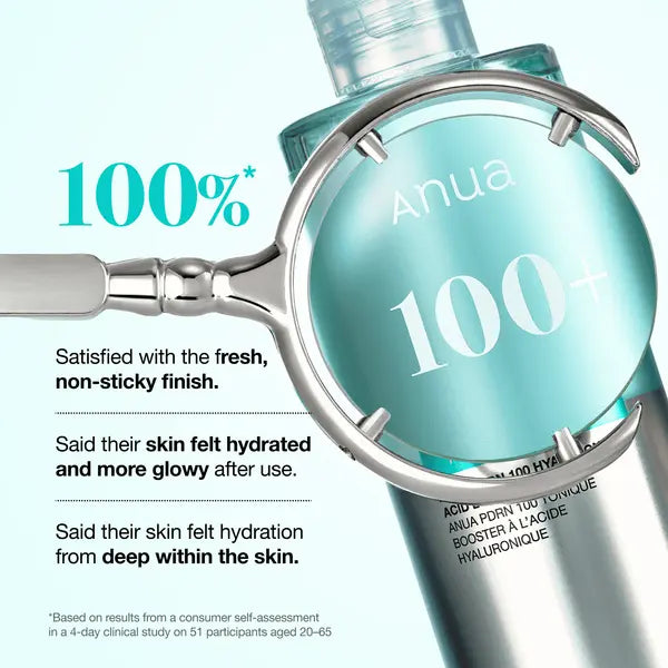 ANUA PDRN 100 Hyaluronic Acid Booster Toner 250ml